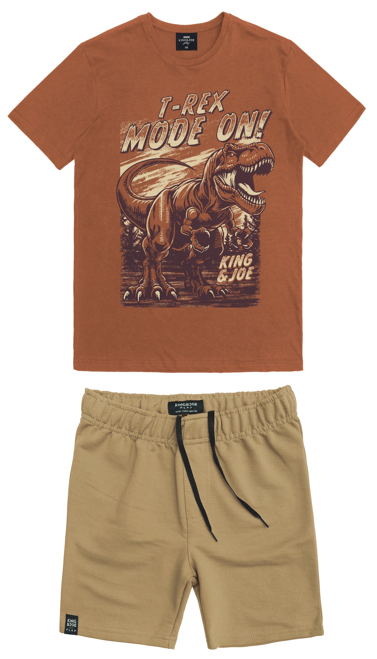 Conjunto Menino Blusa Dinossauro T-Rex e Bermuda Moletinho - King & Joe TAM 10