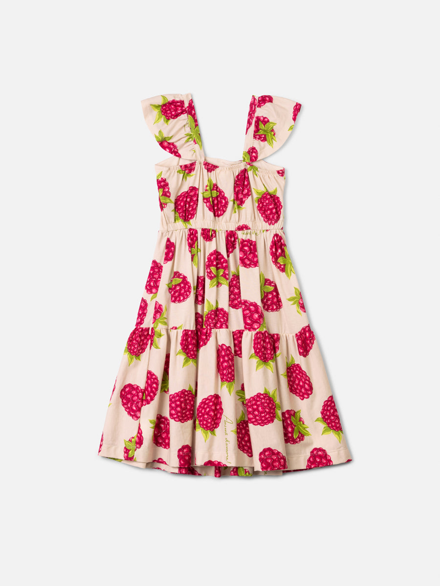 Vestido Maria Framboesa - ANIMÊ