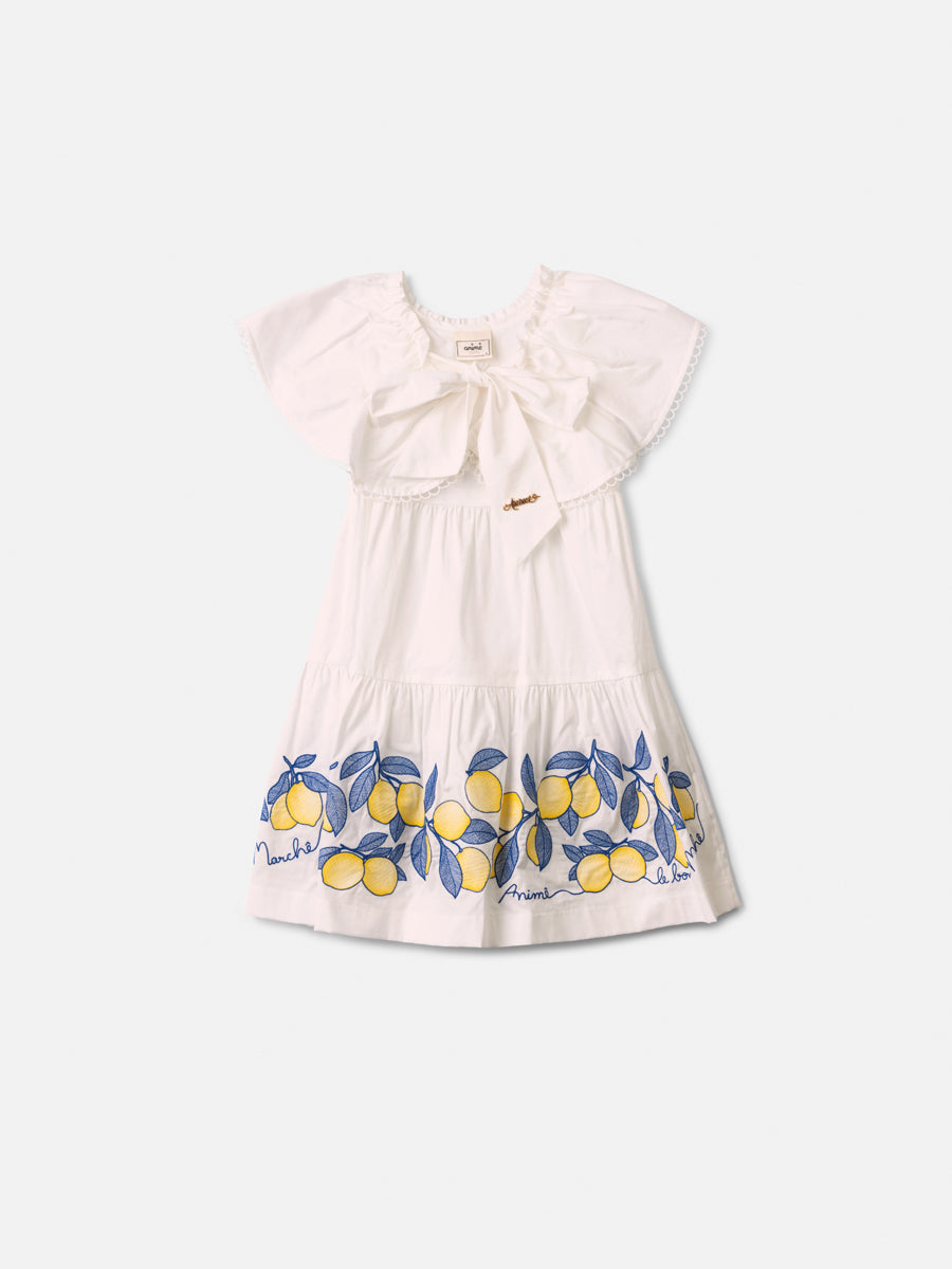 Vestido Tricoline Bordado - ANIMÊ