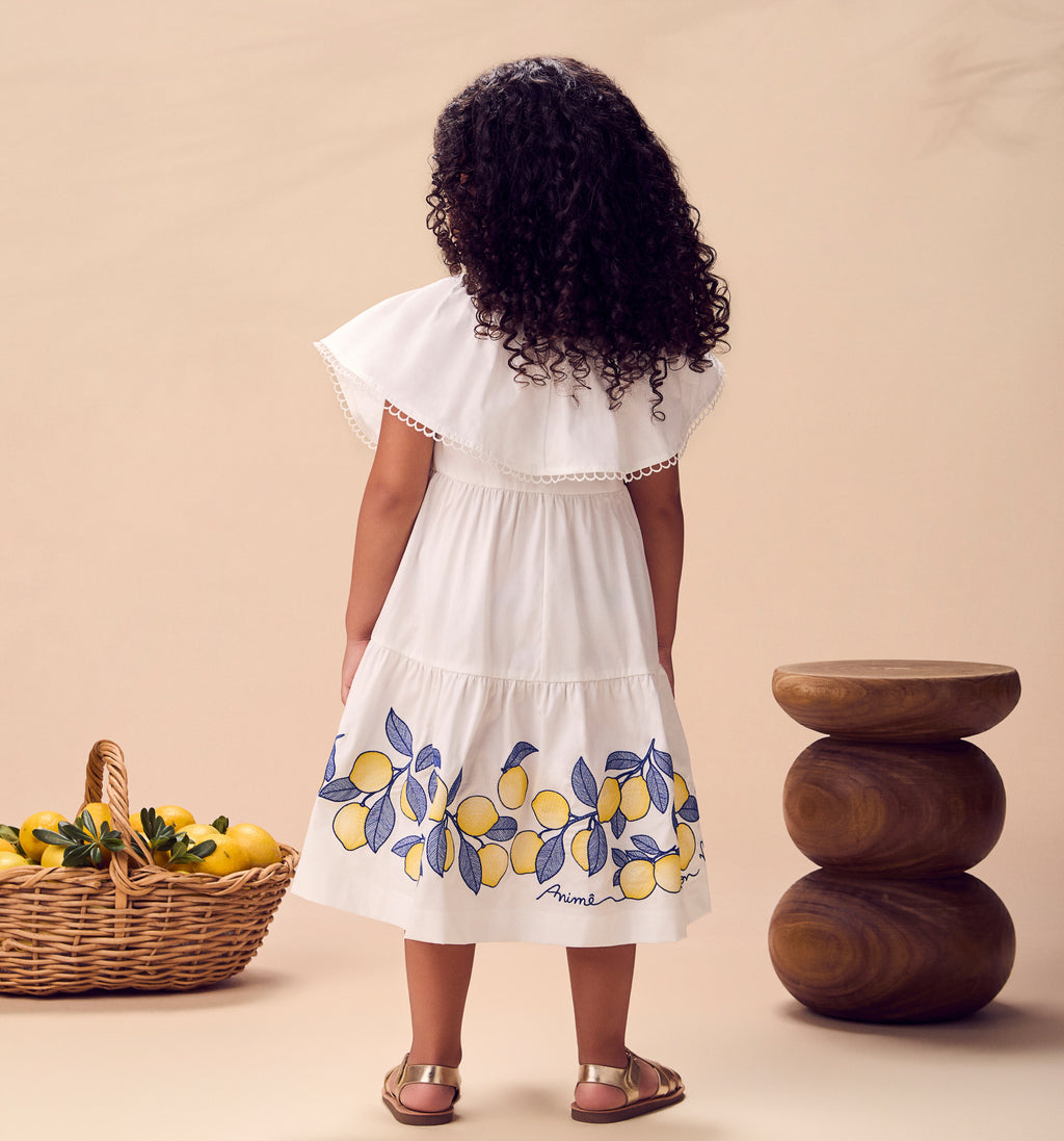 Vestido Tricoline Bordado - ANIMÊ